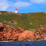 Berlenga Island Cliffs and Lighthouse