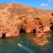 Berlenga Island Cliffs
