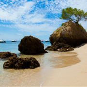 Arrábida Natural Park Beach