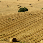 Évora Golden Plains