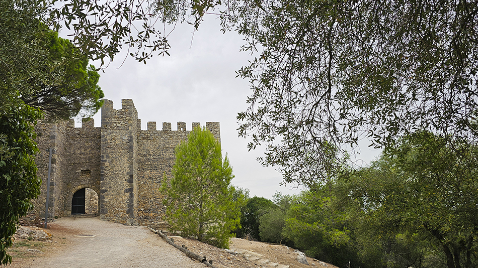 ARRABIDA TOUR 2025-14