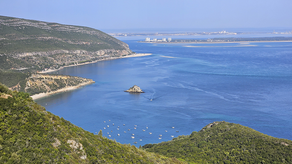 ARRABIDA TOUR 2025-29